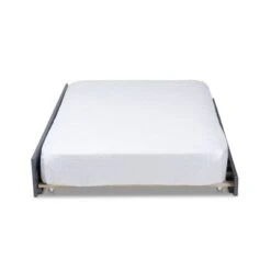 Cintia Wood Bed With Trundle Gray - Baxton Studio