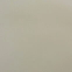 4pc Rae Plastic Stackable Dining Chair Set - Baxton Studio 15 4pc Rae Plastic Stackable Dining Chair Set - Baxton Studio -Home Furniture Shop-Baxton Studio GUEST 8ab87bac 3911 49c7 87d7 dc24c5c4ad4d