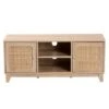Elsbeth Wood And Natural Rattan 2 Door TV Stand For TVs Up To 40" Light Brown/Natural Brown - Baxton Studio -Home Furniture Shop-Baxton Studio GUEST ae5303b9 d281 4f5e a6c5 cf26b2975961