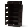 Acadia Modern And Contemporary Finished Shoe Cabinet Dark Brown - Baxton Studio